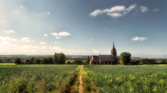 plattelandsstrategie voor Zuid-West-Vlaanderen 2024