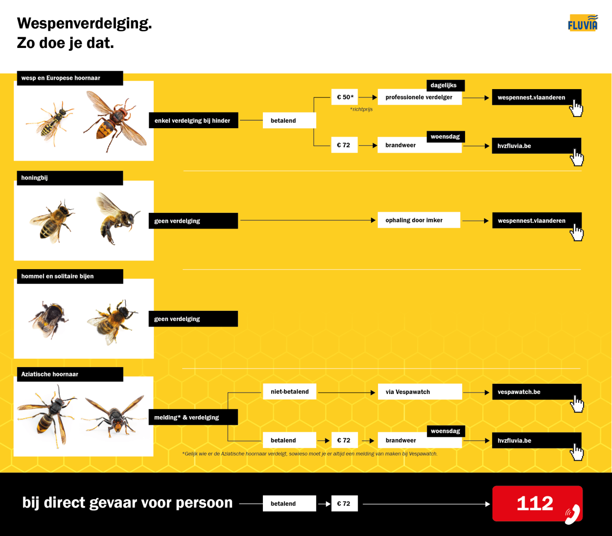 wespenverdelging flowchart